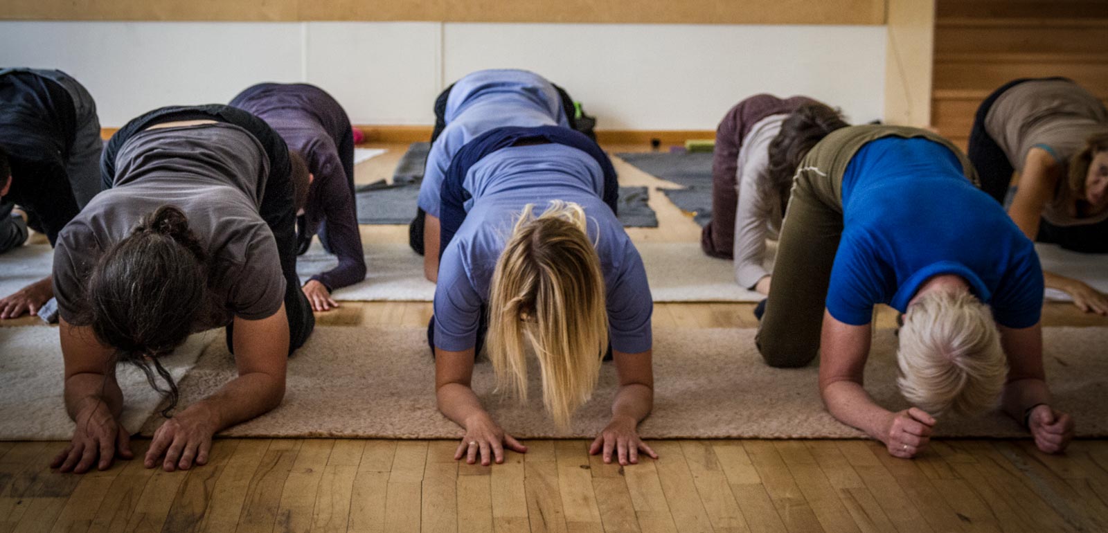 Personen auf Matten kniend machen Übungen bei Feldenkrais-Kurs in Seminarraum